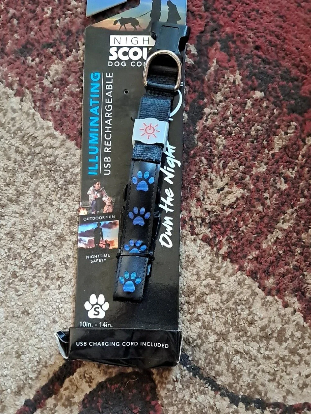 Illuminating USB-Rechargeable Dog Collar - Black with Blue Paw Prints (Small)